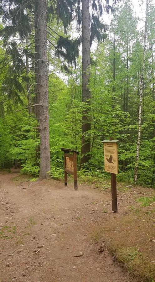 Ubytovani V Soukromi - Apartman Meran Svoboda nad Úpou Екстериор снимка